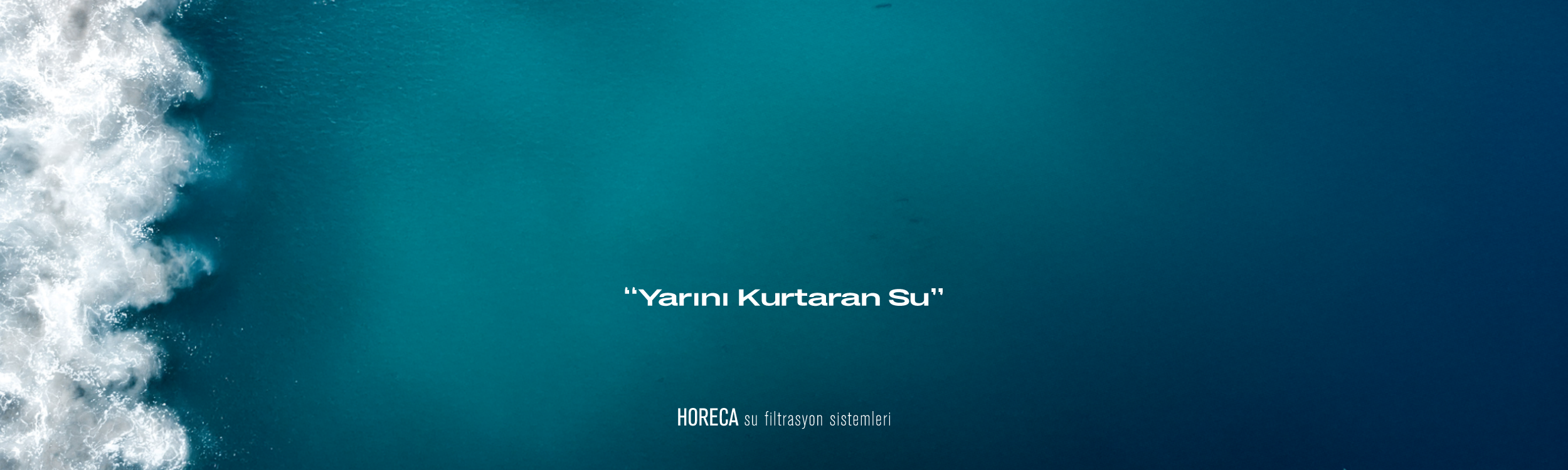 Anasayfa